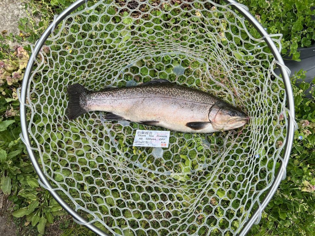 【驚ロック５３ｃｍ】全体