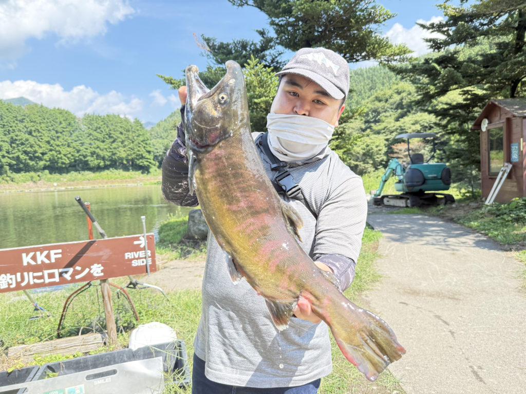 【桜来夢５６ｃｍ】全体