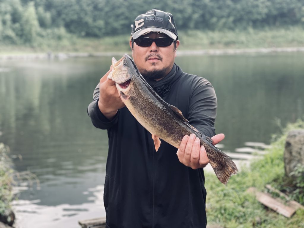 【驚ロック５１ｃｍ】全体