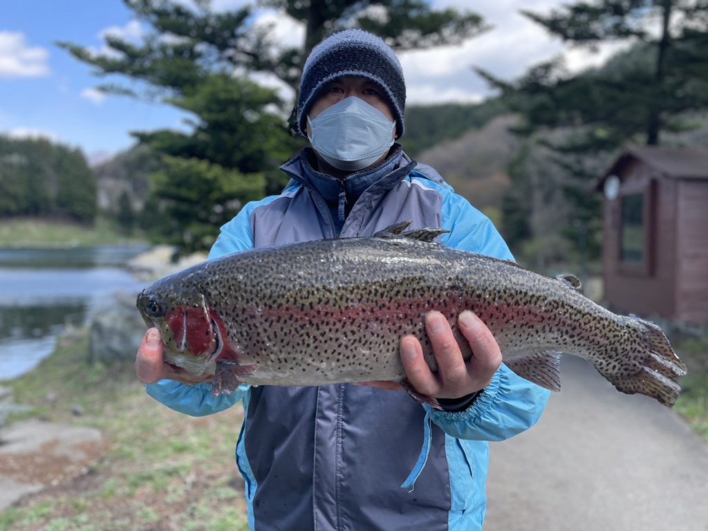 【頂鱒５５ｃｍ】全体
