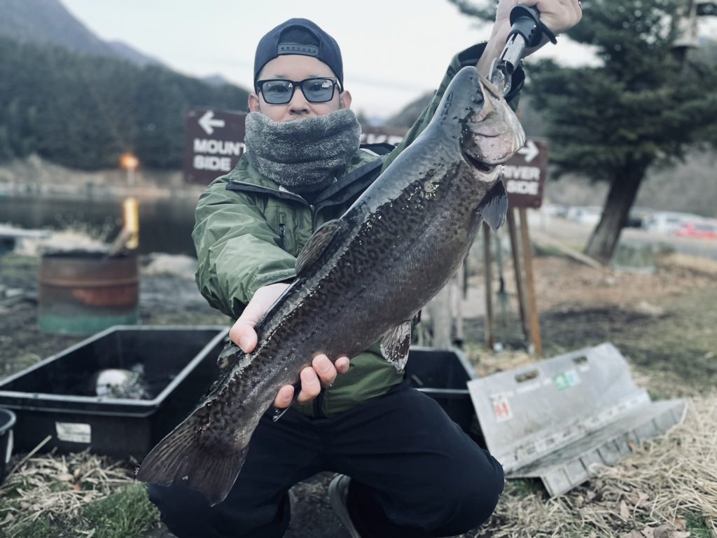 【驚ロック５２ｃｍ】全体