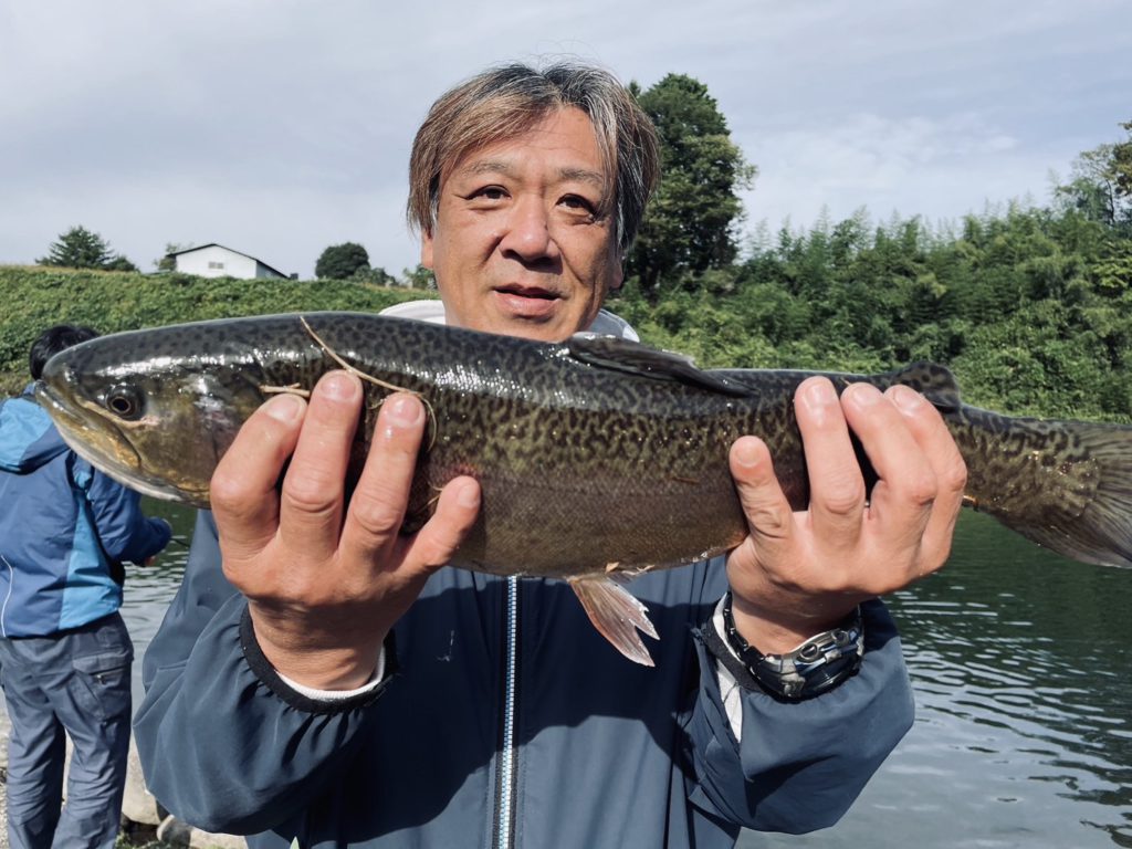 【驚ロック５３ｃｍ】全体