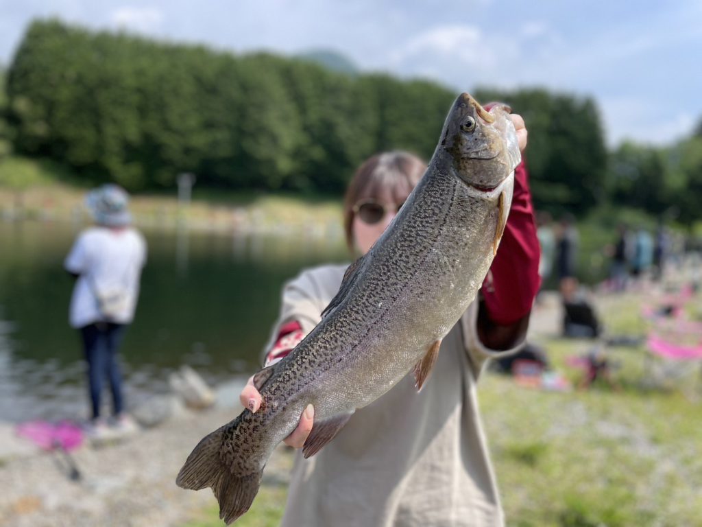 【驚ロック５３ｃｍ】全体