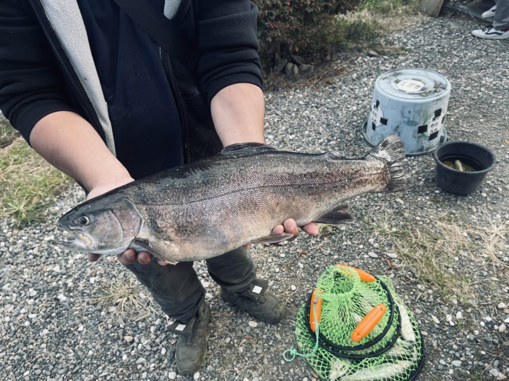 【驚ロック５８ｃｍ】全体