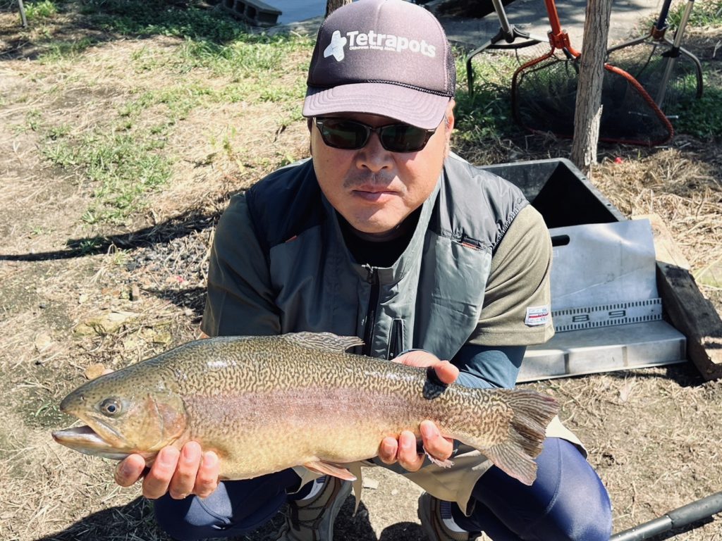 【驚ロック５５ｃｍ】全体