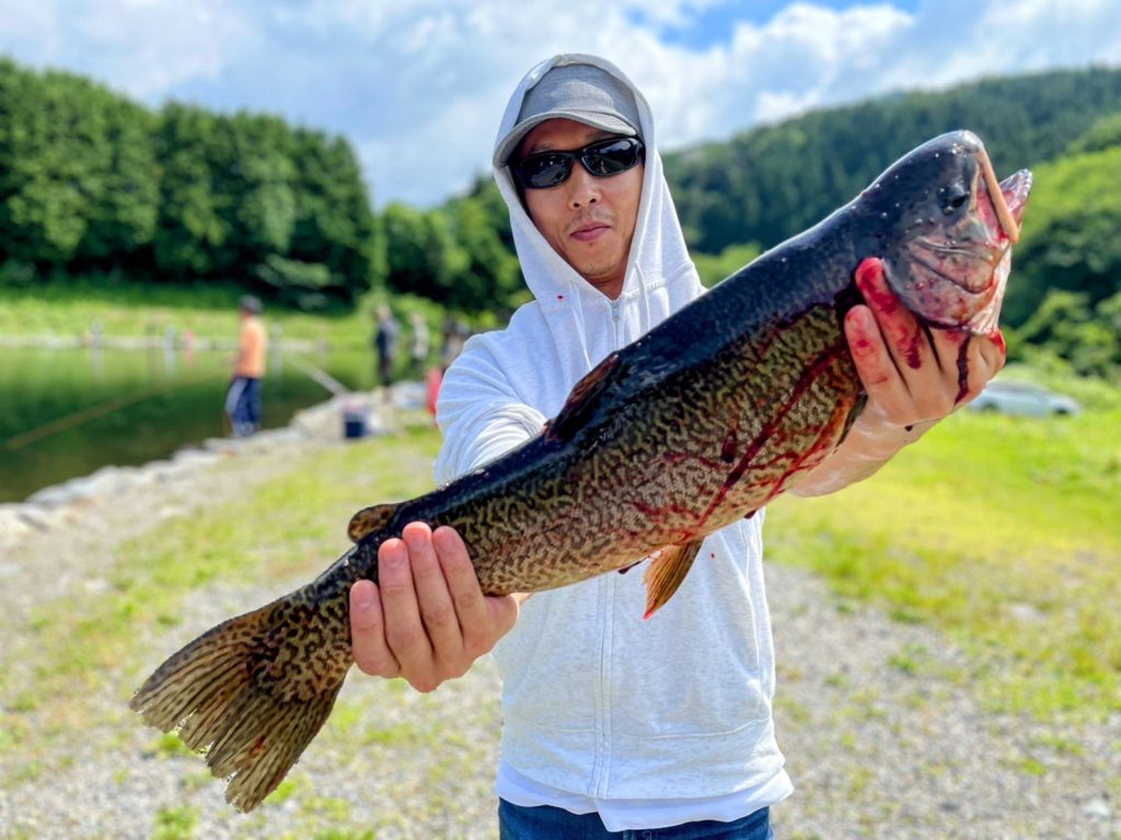 【驚ロック５７ｃｍ】全体