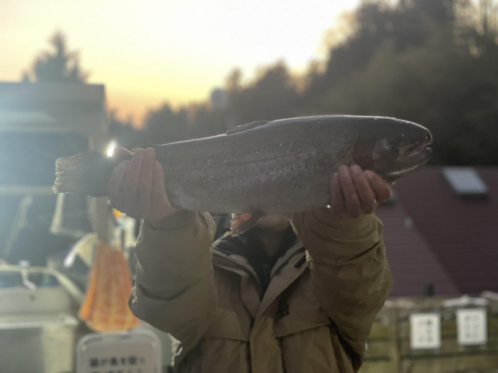 【頂鱒６０ｃｍ】全体