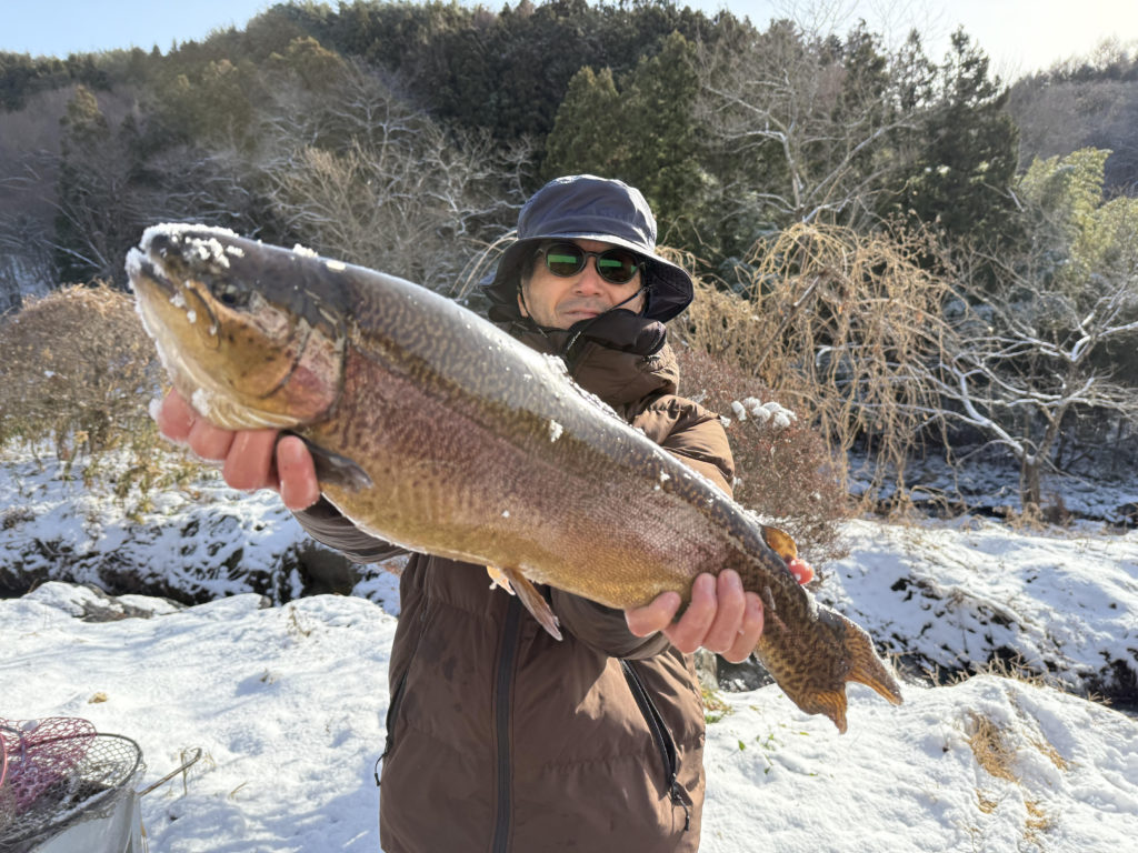 【驚ロック５９ｃｍ】全体