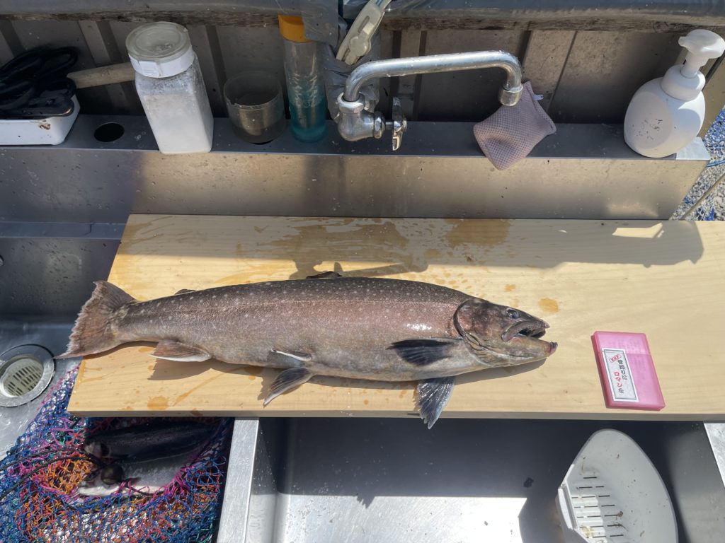 【大岩魚６４ｃｍ】全体