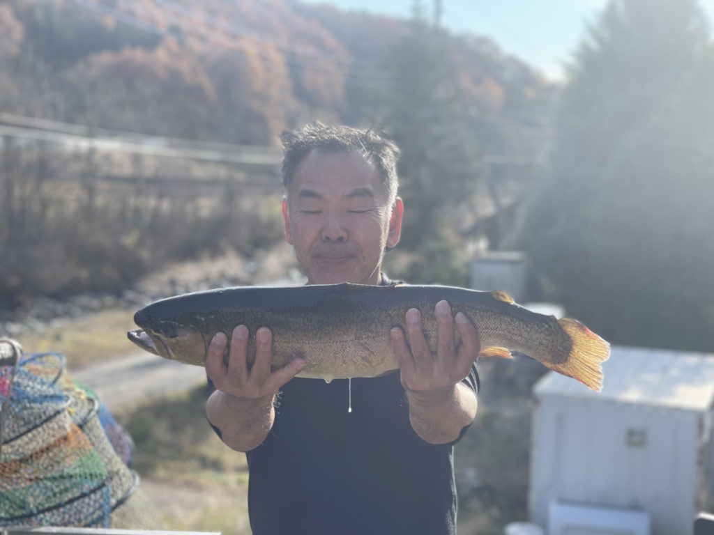 【驚ロック６０ｃｍ】全体