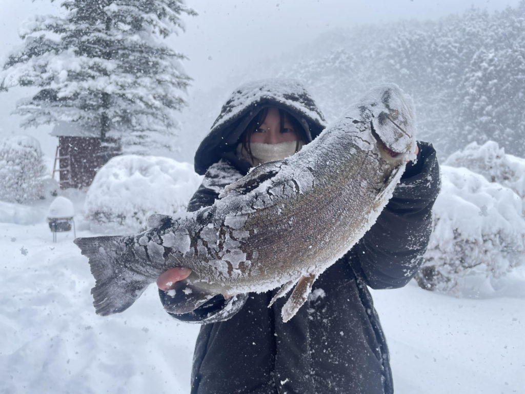 【驚ロック５６ｃｍ】全体