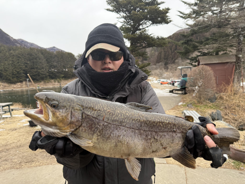 【驚ロック５５ｃｍ】全体