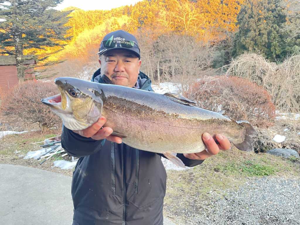 【驚ロック５３ｃｍ】全体