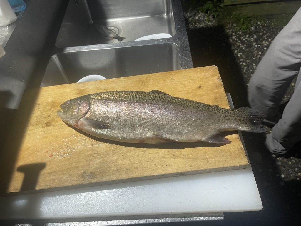 【驚ロック５４ｃｍ】全体