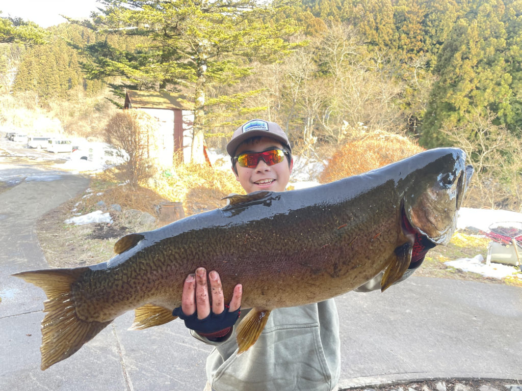 【驚ロック７３ｃｍ】全体