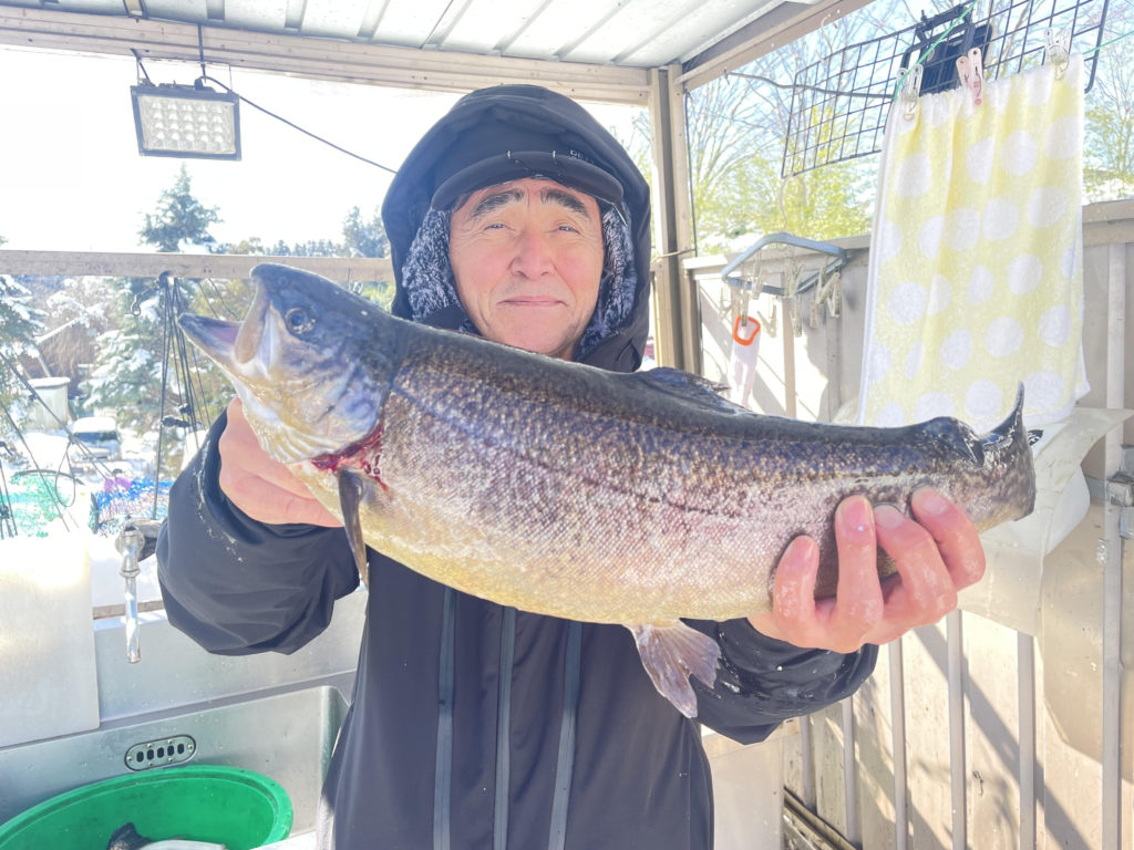 【驚ロック５０ｃｍ】全体