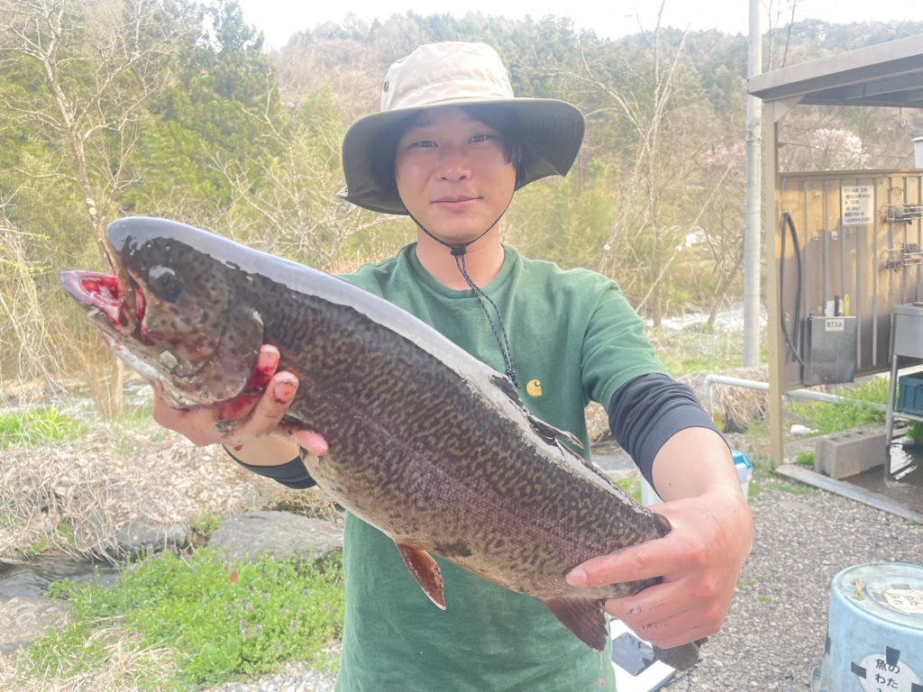 【驚ロック５４ｃｍ】全体