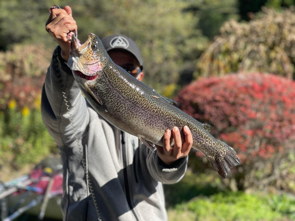 【驚ロック５６ｃｍ】全体