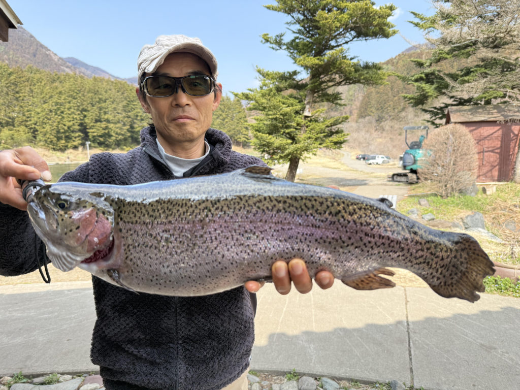 【頂鱒５５ｃｍ】全体