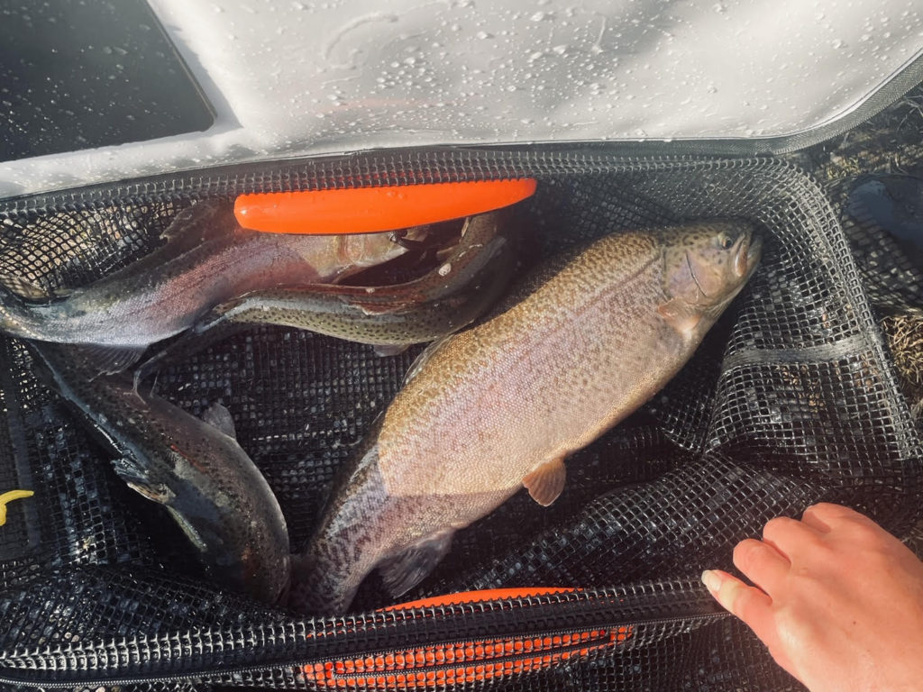 【驚ロック５０ｃｍ】全体