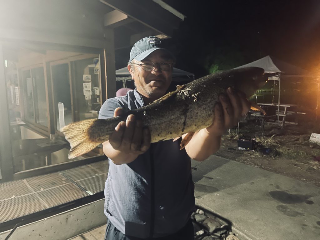 【驚ロック５０ｃｍ】全体