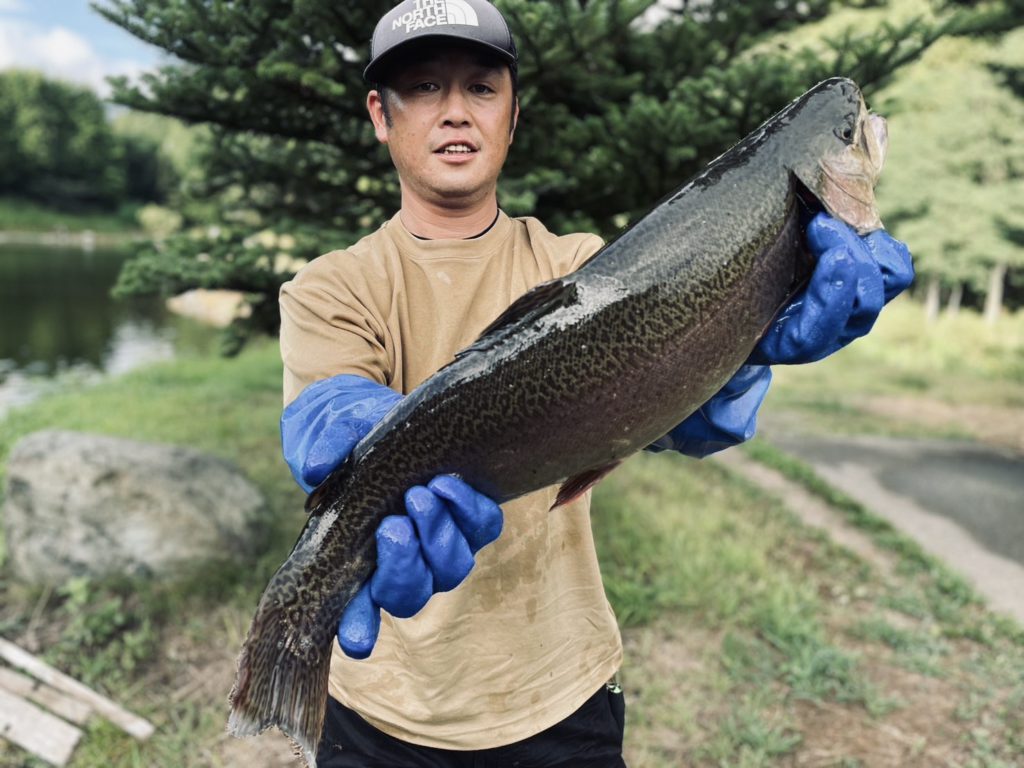 【驚ロック５５ｃｍ】全体