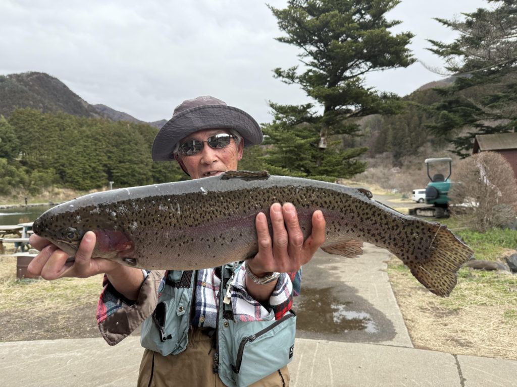 【頂鱒６５ｃｍ】全体