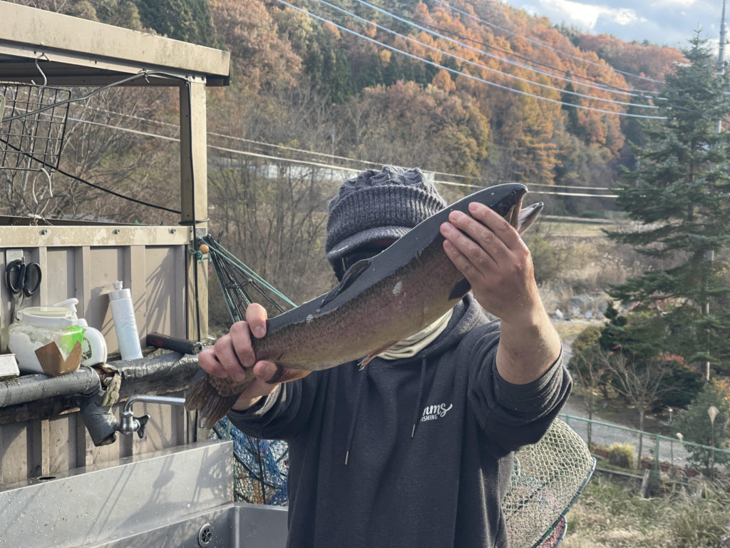 【驚ロック５３ｃｍ】全体