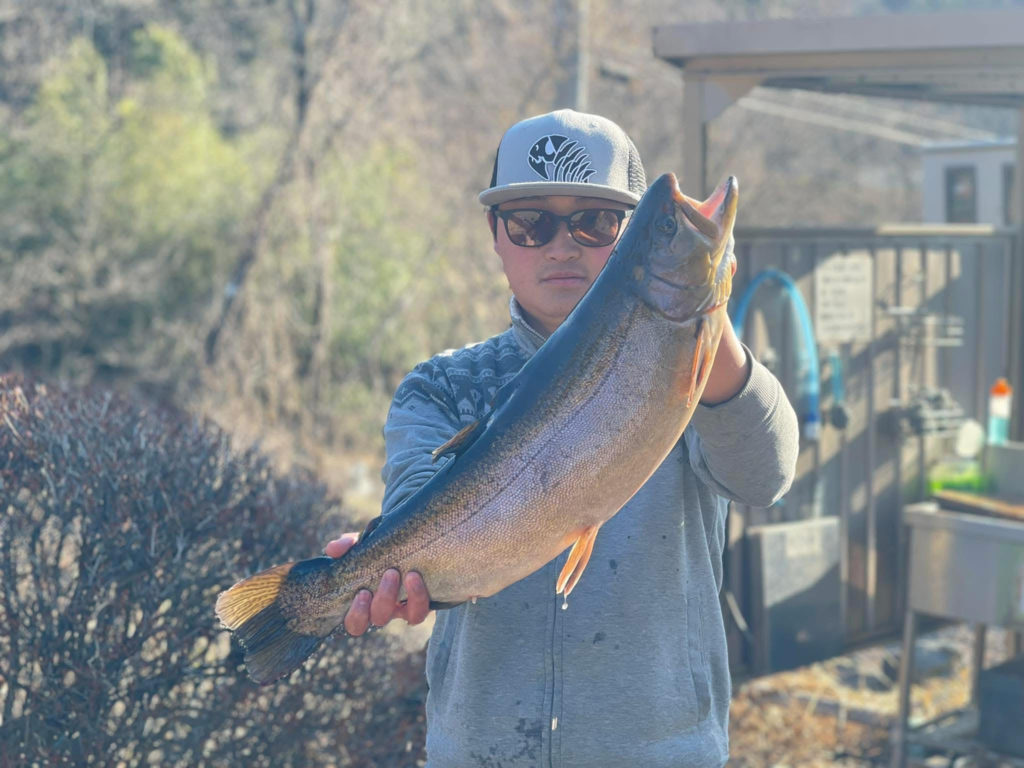 【驚ロック６４ｃｍ】全体