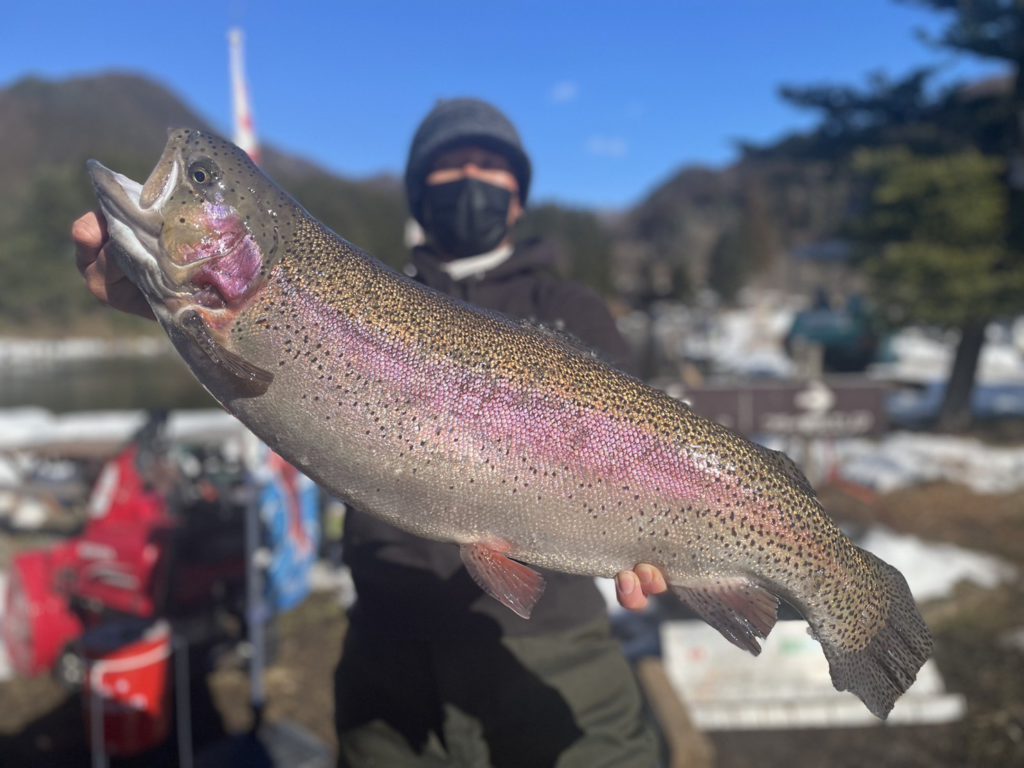 【頂鱒７７ｃｍ】全体