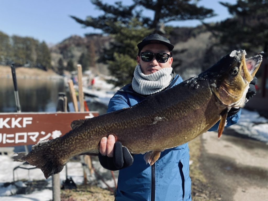 【驚ロック６４ｃｍ】全体