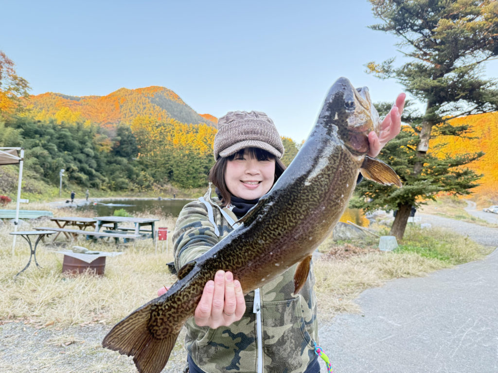 【驚ロック６２ｃｍ】全体