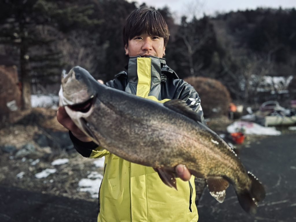 【驚ロック５１ｃｍ】全体