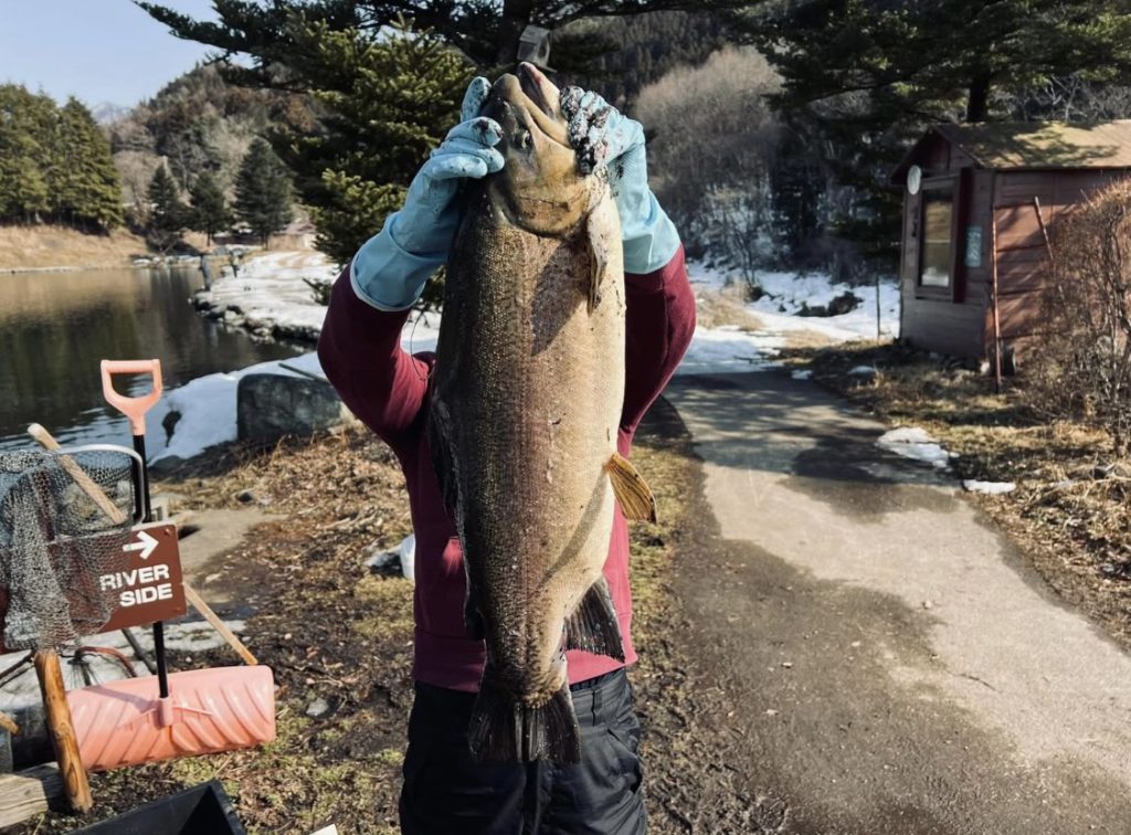 【驚ロック７３ｃｍ】全体