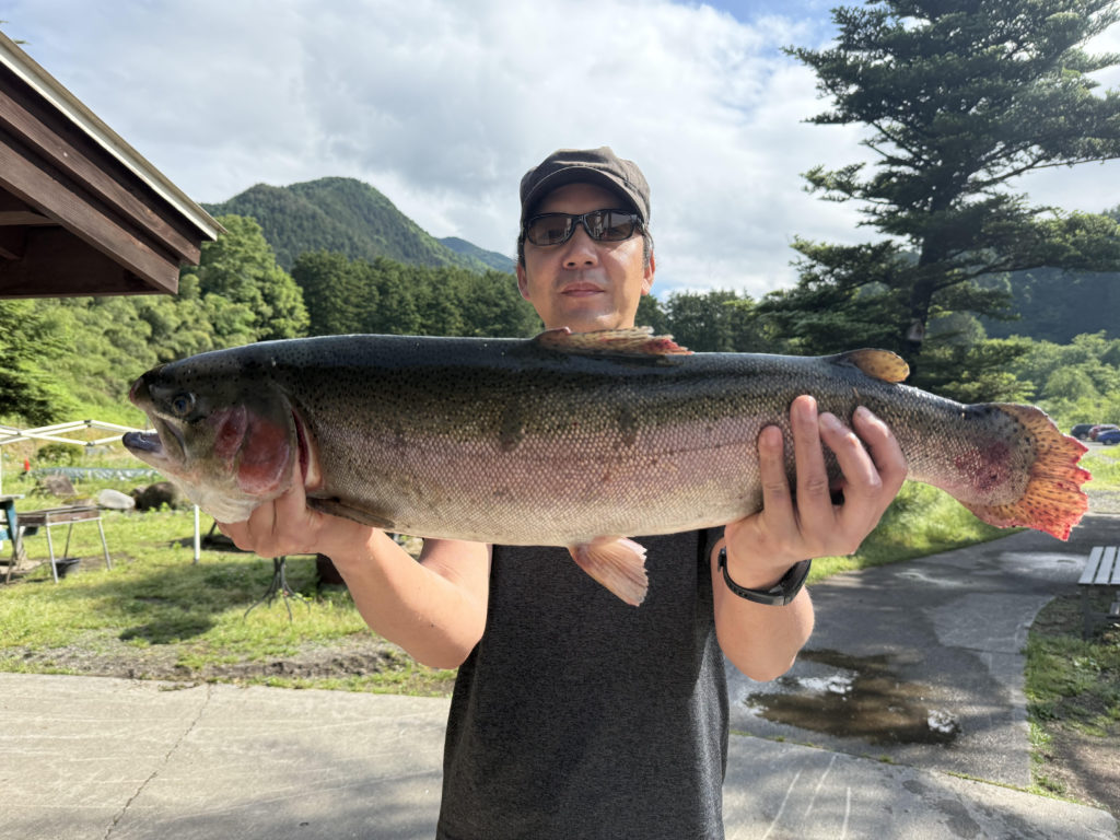 【頂鱒７５ｃｍ】全体