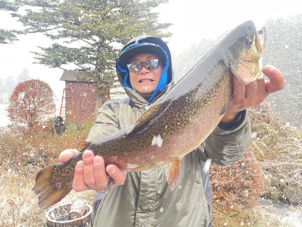 【驚ロック５５ｃｍ】全体