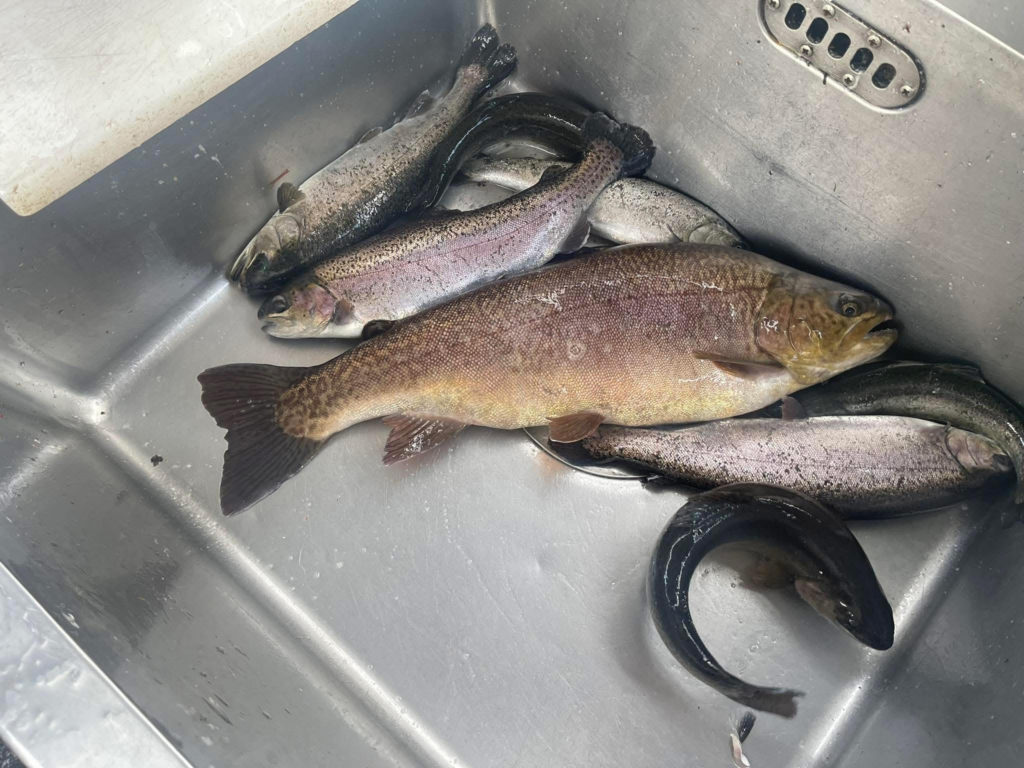 【驚ロック５３ｃｍ】全体