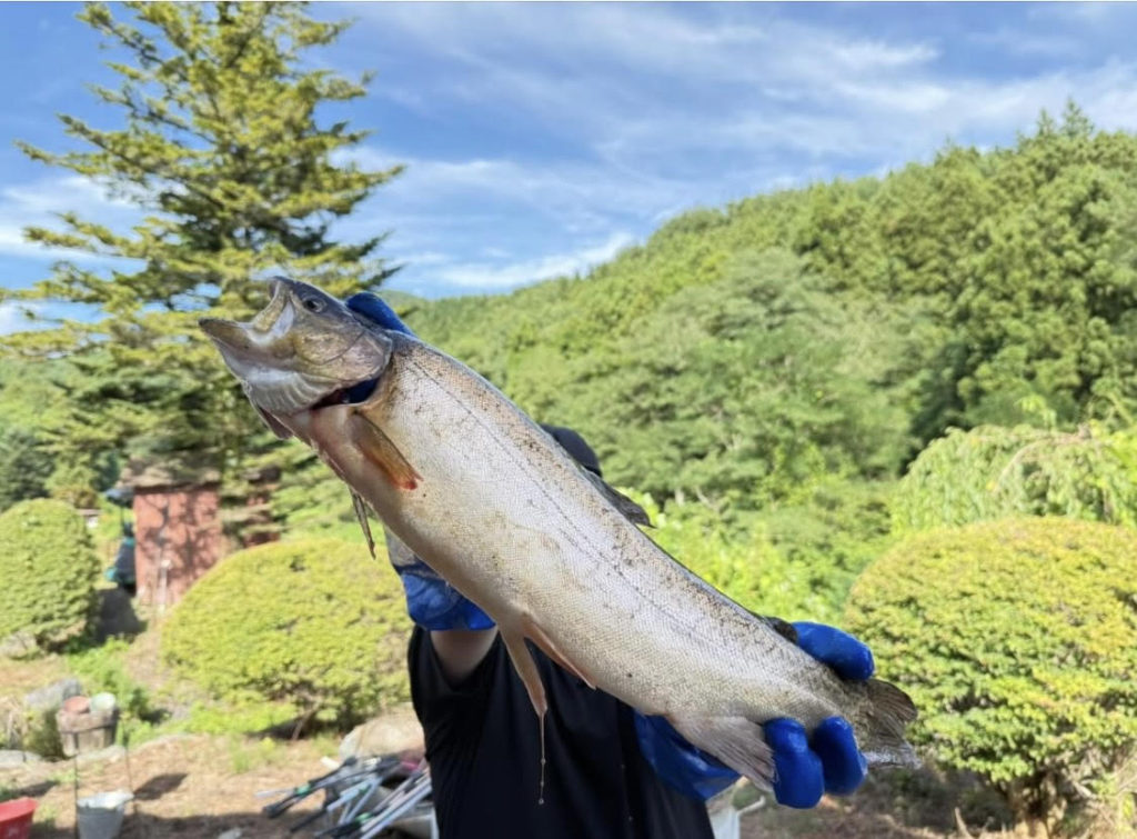 【驚ロック５６ｃｍ】全体