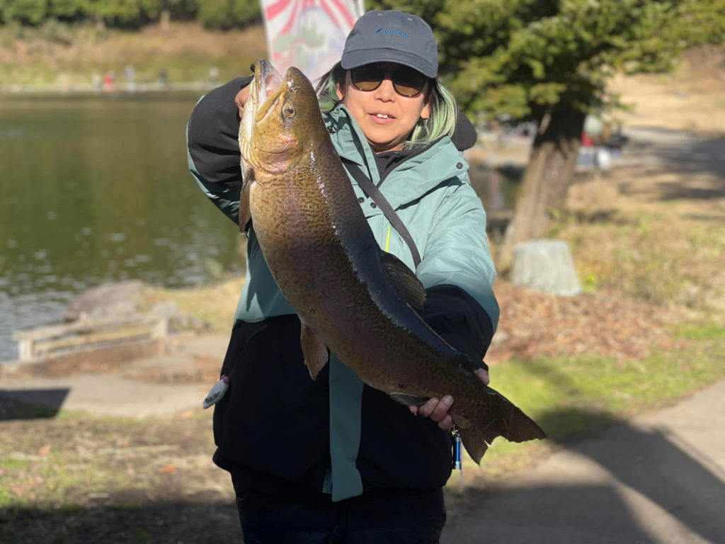 【驚ロック７１ｃｍ】全体