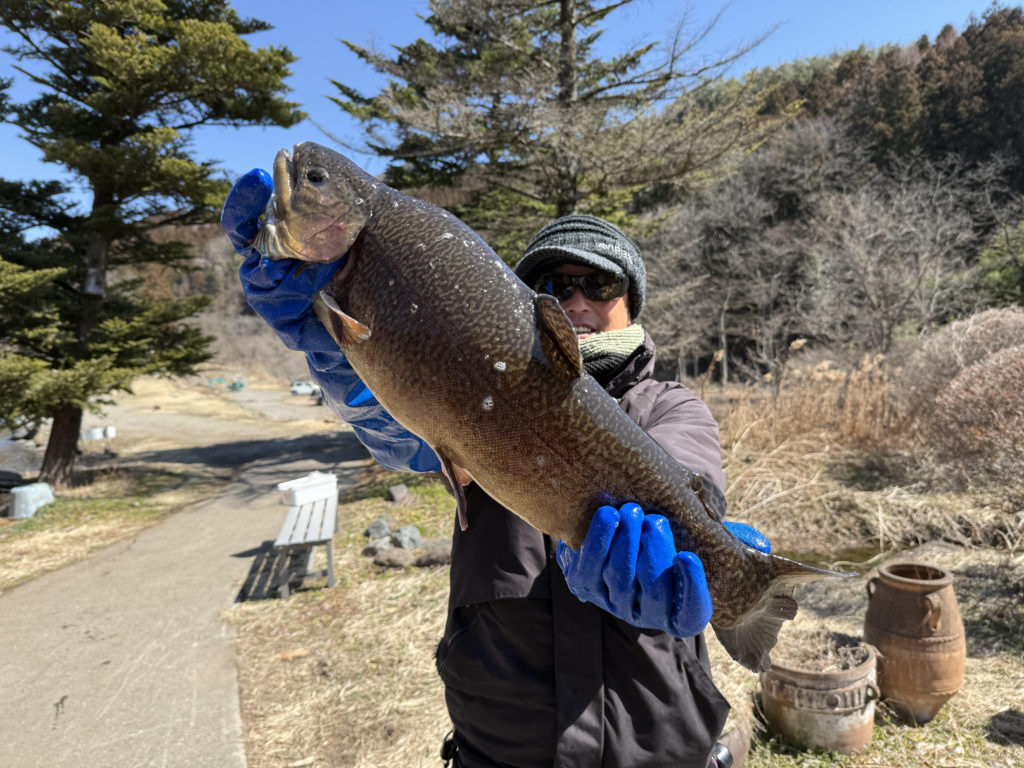 【驚ロック６１ｃｍ】全体