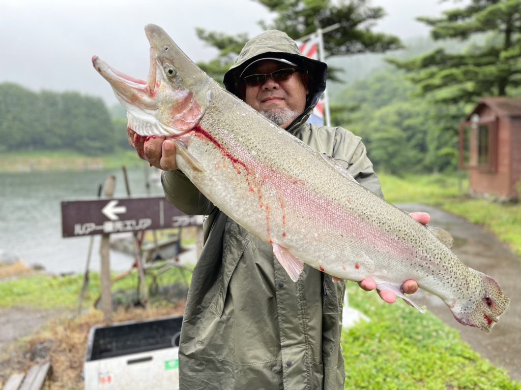 【頂鱒７５ｃｍ】全体