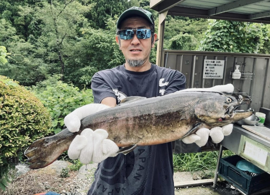 【桜来夢５０ｃｍ】全体