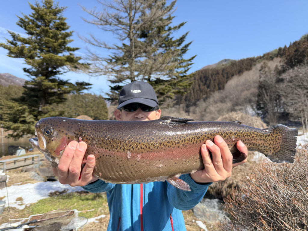 【頂鱒５７ｃｍ】全体