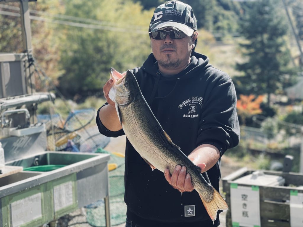 【驚ロック６０ｃｍ】全体