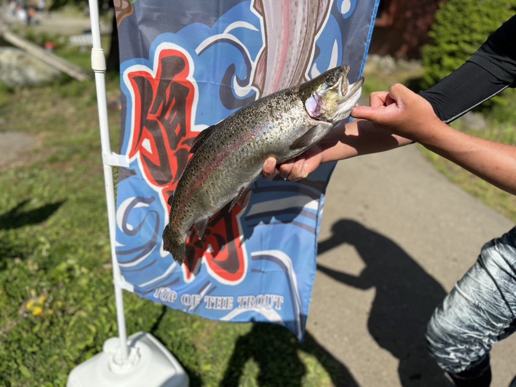 【頂鱒５８ｃｍ】全体