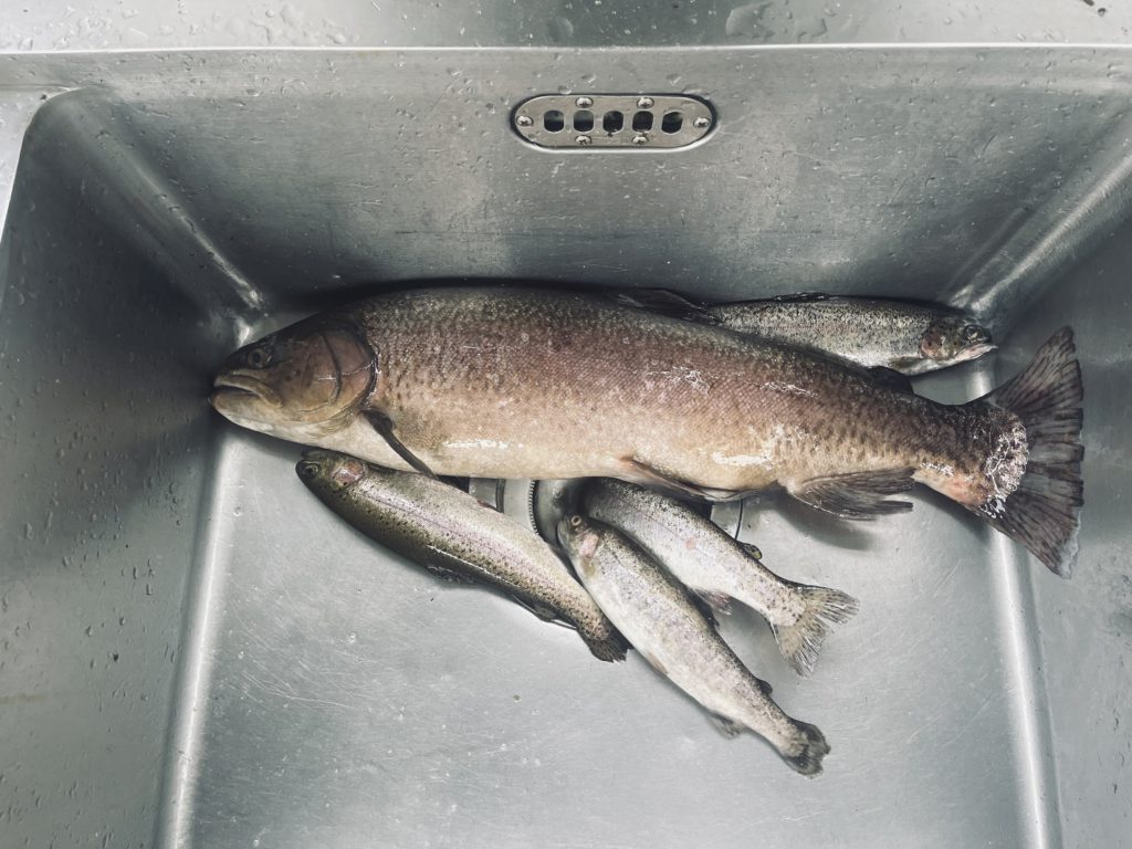 【驚ロック６０ｃｍ】全体