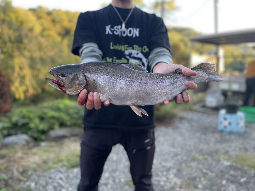 【驚ロック５５ｃｍ】全体