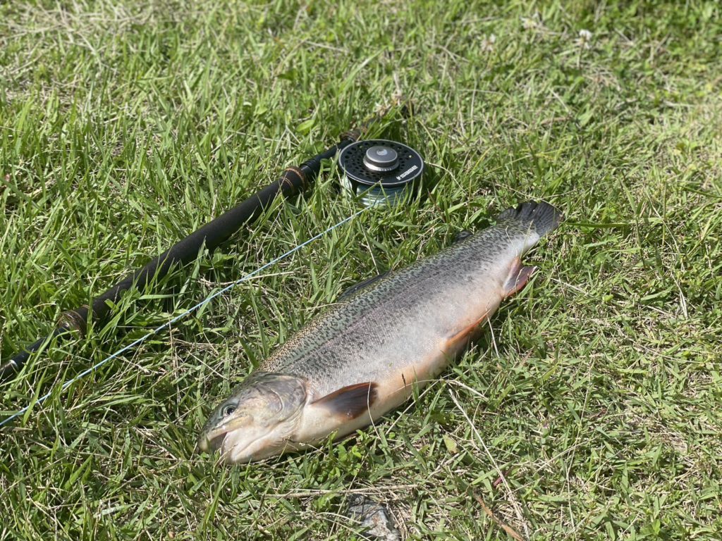 【驚ロック５３ｃｍ】全体