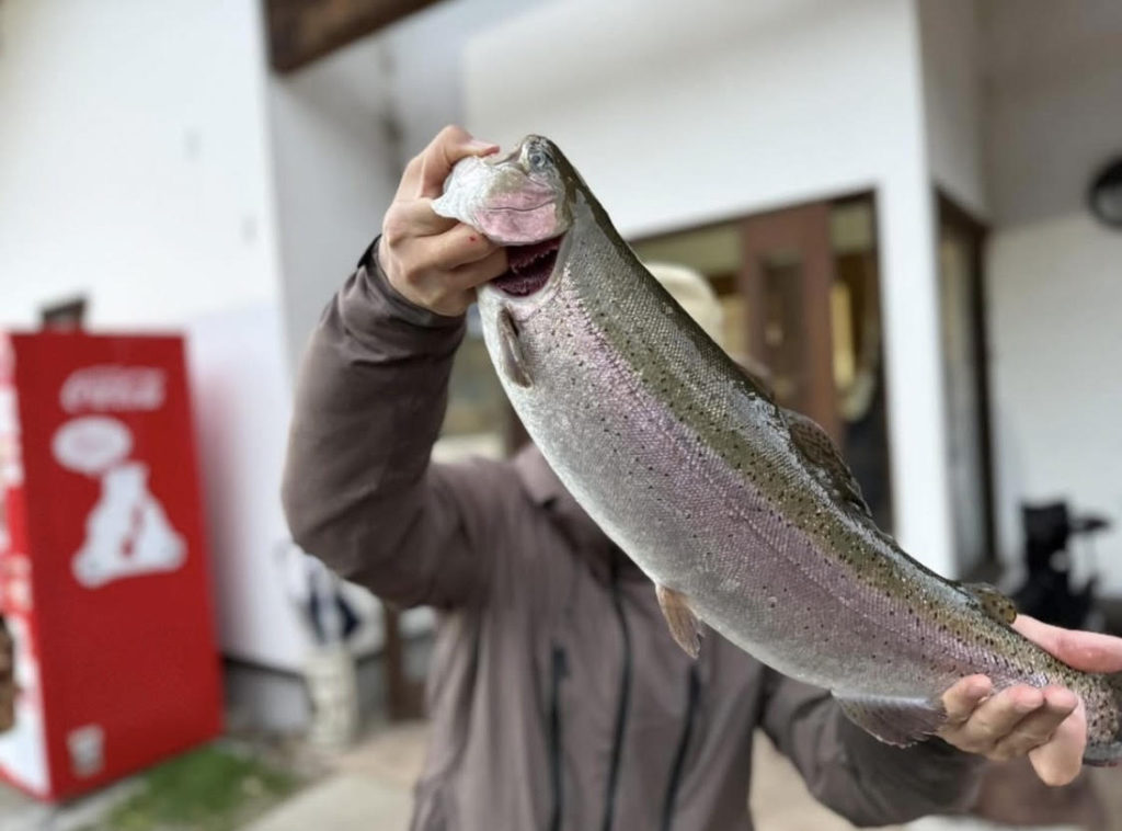 【頂鱒５２ｃｍ】全体