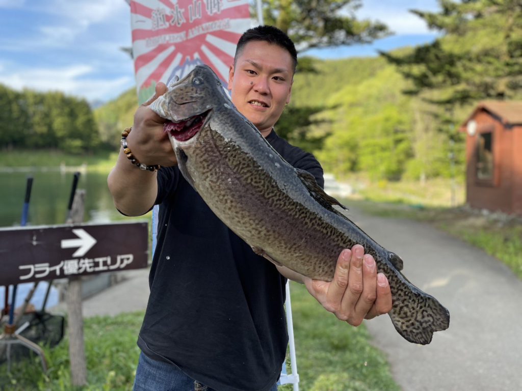 【驚ロック５５ｃｍ】全体